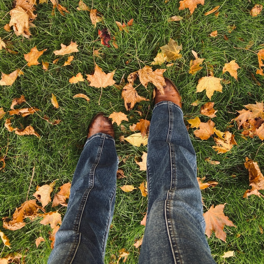 American Eagle Super Stretch bootcut jeans, with center detailing. - Picture 2 of 6